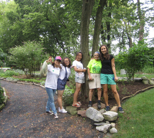 Discovering volunteer work with the Five Senses Garden
