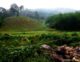 Greenheart Travel Grant Winner Supports Eco-tourism in Vietnam