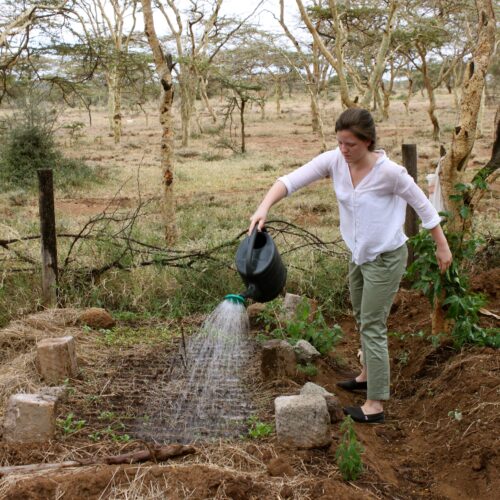 Climate Change: Its Effect on Global Health and Wellness