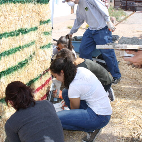 Ways to Get Involved in Your Community