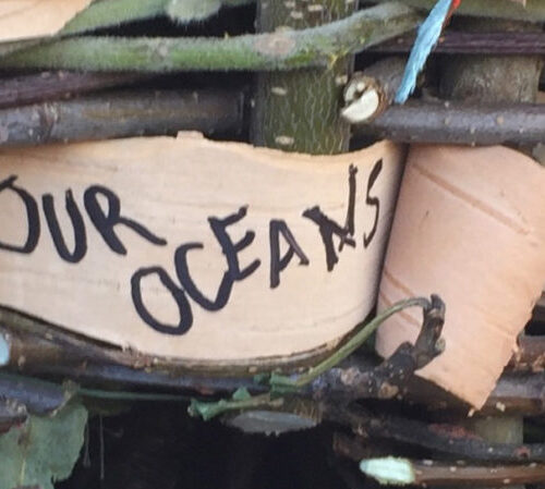 J-1 participants in Alaska learn about our oceans