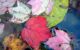Finding Guidance in the Changing Seasons