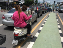 5 Ways Thailand Will Surprise You While Teaching and Living Abroad