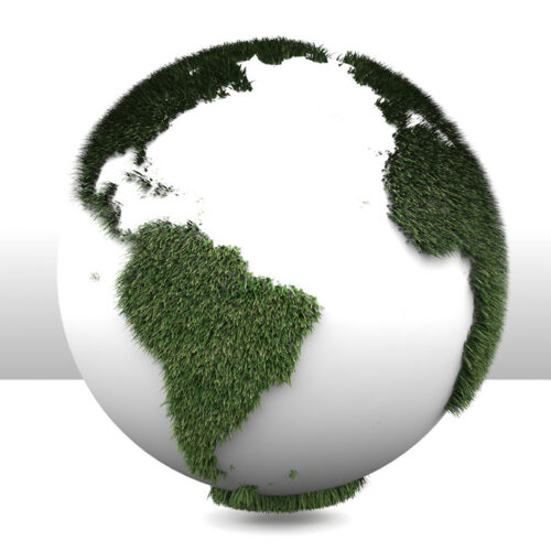 Greenheart Celebrates “Better Understanding, Better World” Day