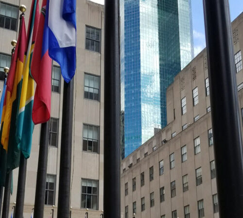 What is ‘American’? Greenheart explores New York