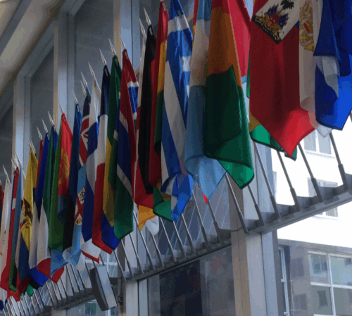 Introducing: The 2018 Alumni Global Council
