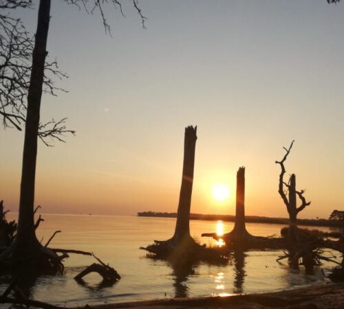 A Memorable Panorama: Exploring Nags Heads