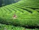 How I Escaped the Graduation “Job Scramble” by Teaching English Abroad