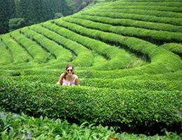 How I Escaped the Graduation “Job Scramble” by Teaching English Abroad