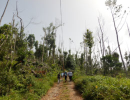 Volunteer for a Weekend in Puerto Rico: One Year After Hurricane Maria, Here’s A Way To Help