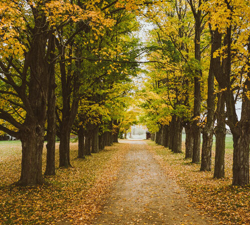 8 Quotes that Will Inspire You to Travel