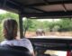 Reflections After Returning Home from Volunteering in Sri Lanka