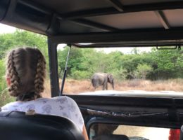 Reflections After Returning Home from Volunteering in Sri Lanka
