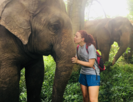 What to Expect from Your First Month in Thailand: A First-Time Traveler’s Reaction
