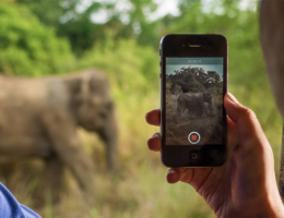 The Beginner’s Guide to Making Amazing Travel Content