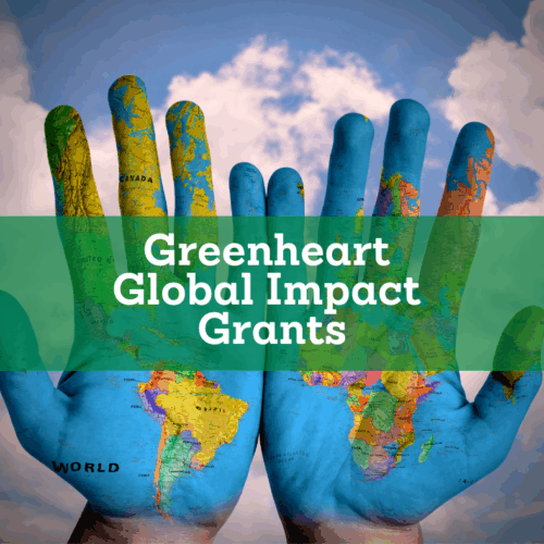 Introducing our 2019 Greenheart GIGs