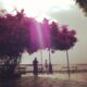 Exploring Teacher Placement Cities: Trang, Thailand