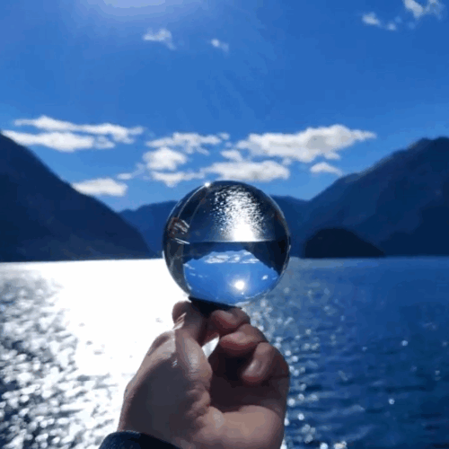 The 2019 Video Contest Finalists