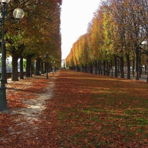 8 Reasons to Teach in a Homestay in Europe in the Fall