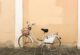 Living Like a Local in Rural, Small Town Italy