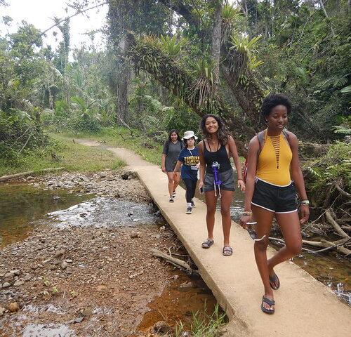Ready to Learn a Language This Summer? What You Need to Know About COVID-19 and Our Teen Language Camps