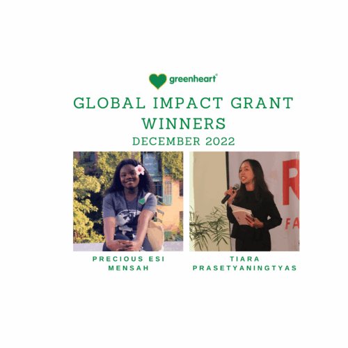 Greenheart’s Global Impact Grant – December 2022 Winners!