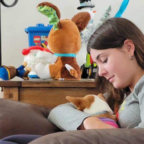 A Remarkable Exchange Year Topped with an Exchange Furry Companion !