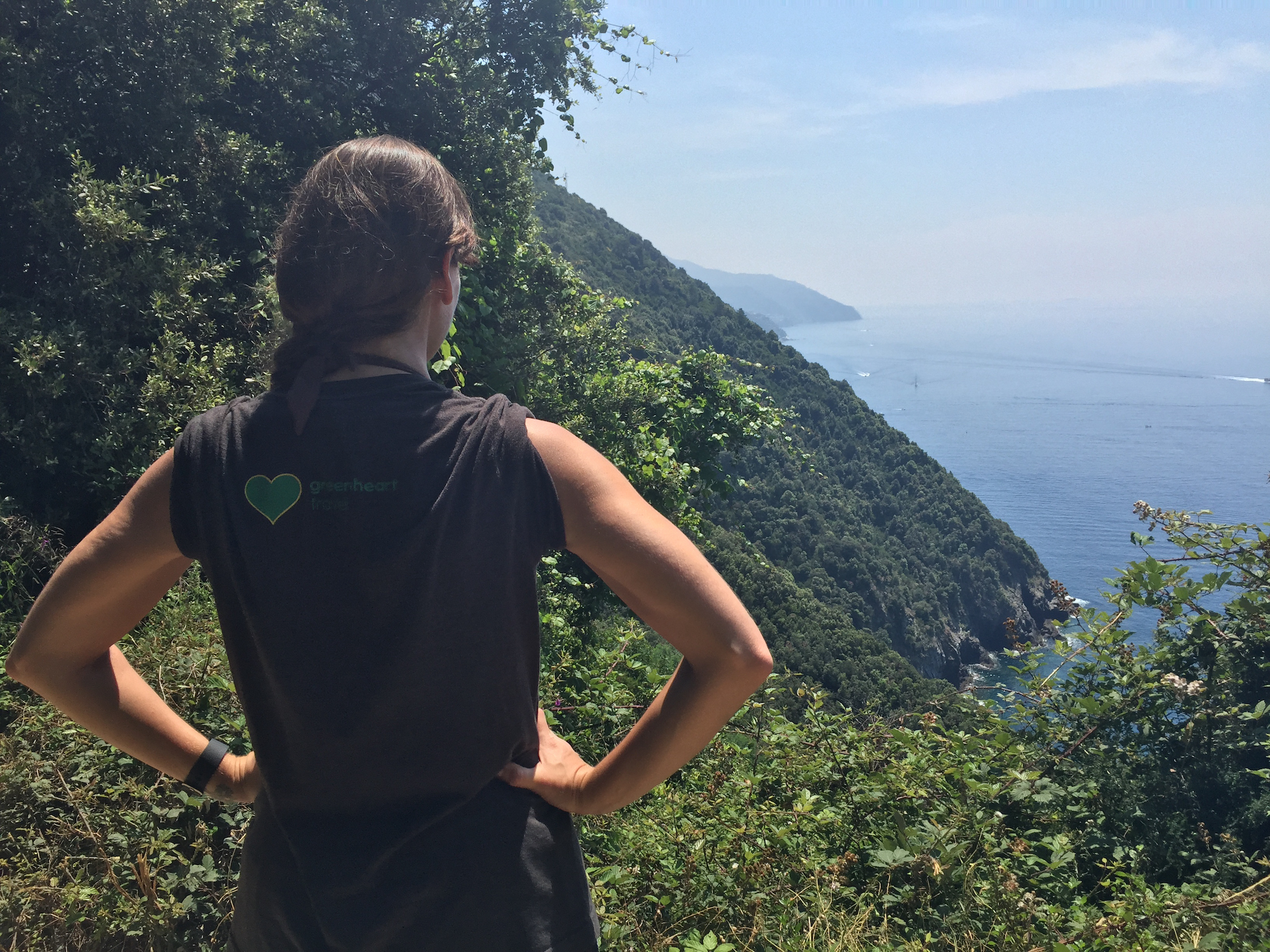 Greenheart Travel image