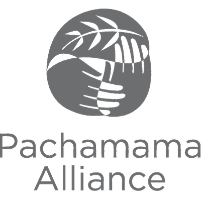 Pachamama Alliance image