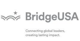 Bridge USA image