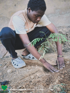 Roots & Renewal: Environmental Action in Mali