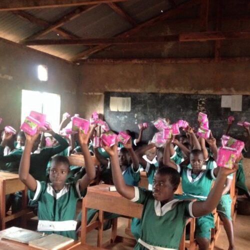 Empowering Adolescent Girls in Khwisero, Kenya