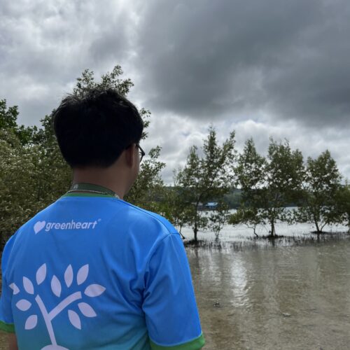 PROJECT BAKA-ONE MANGROVE PLANTING